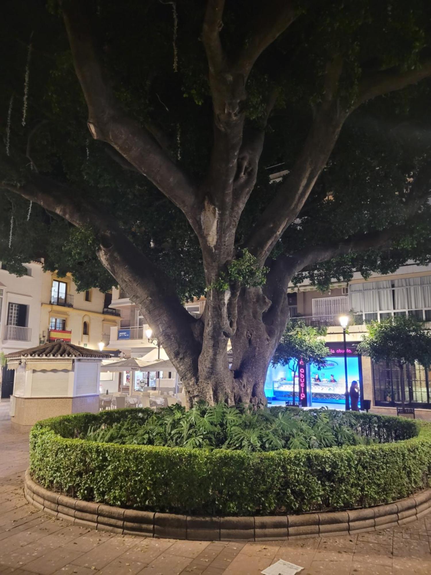 Fuengirola Center Sweet&Beach المظهر الخارجي الصورة