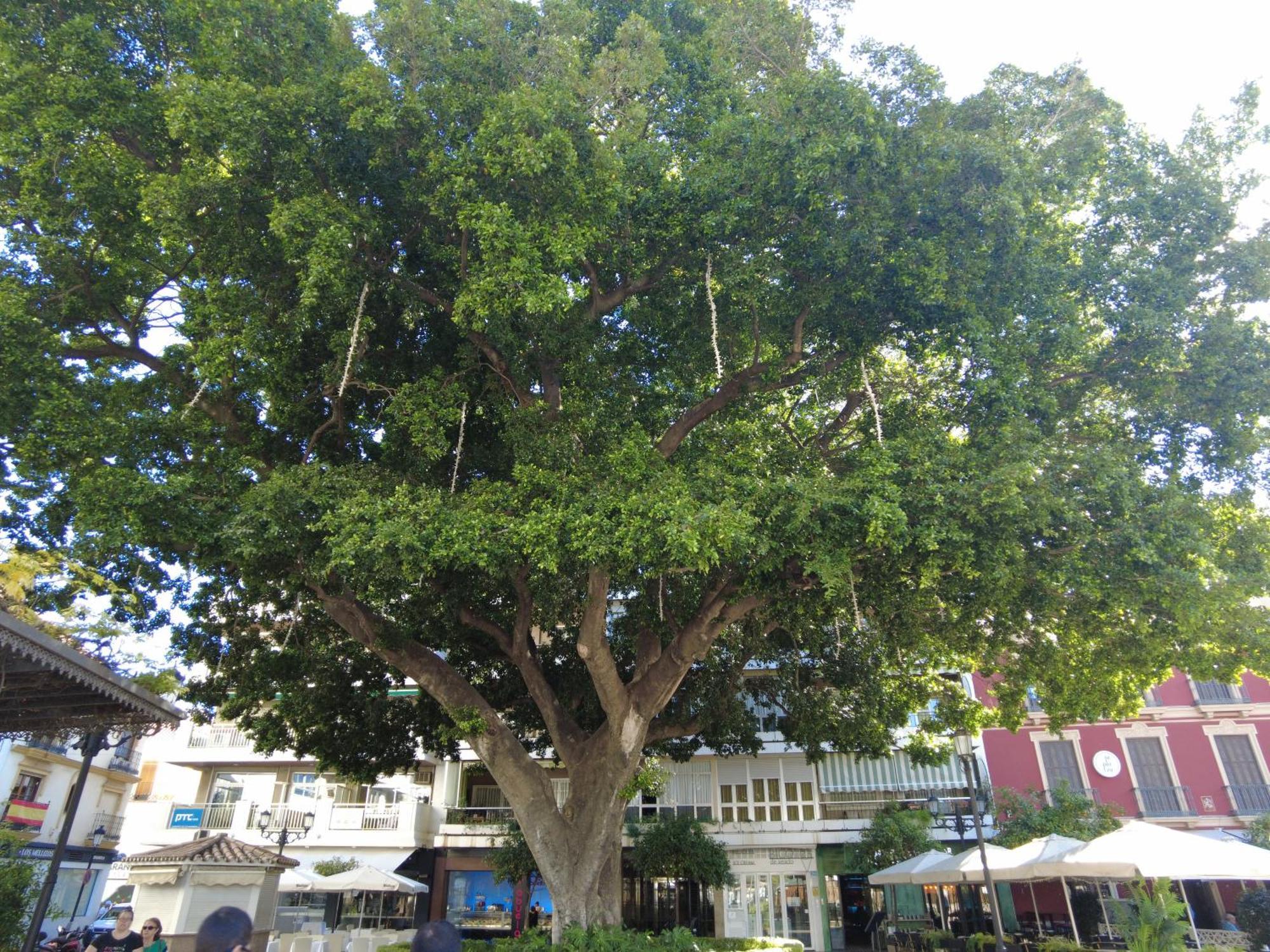 Fuengirola Center Sweet&Beach المظهر الخارجي الصورة